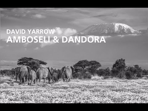 Nikon Ambassador David Yarrow&#039;s Special Project: &#039;Amboseli &amp; Dandora&#039;