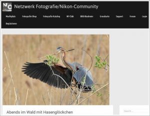 Neues Portal