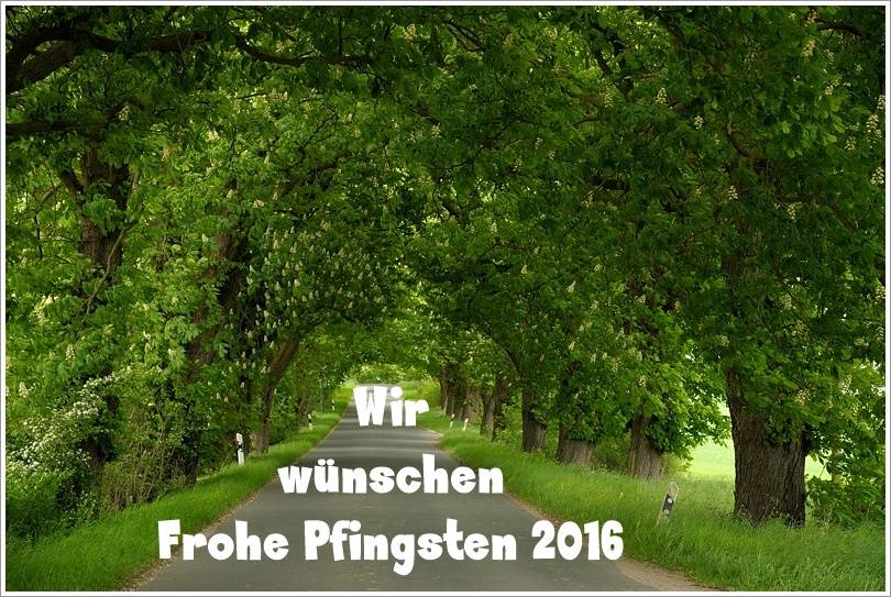 Frohe Pfingsten 2016