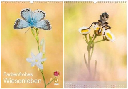 Kalender des Jahres