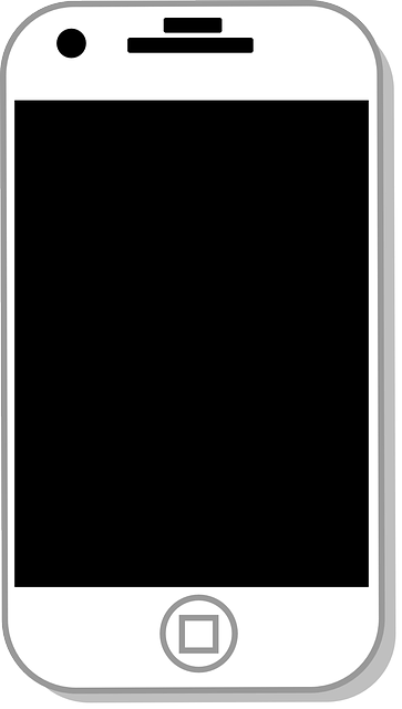 iPhone mit RAW Unterstützung