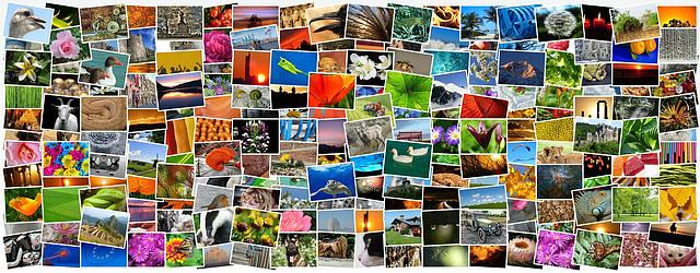 k_Fototausch Portfolio für Fotografen
