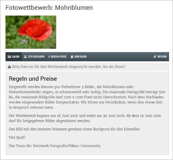 mohnblumen_wettbewerb