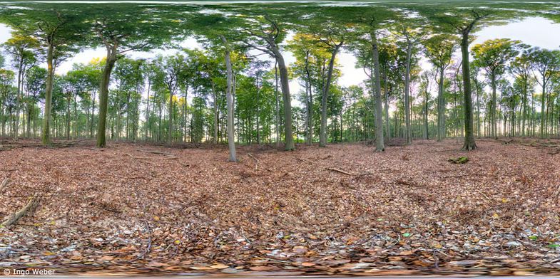 k_004-Rundum-Sicht Little Planet Panoramen