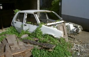 oltimer oltimer