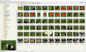 faststone_image_viewer