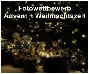 fotowettbewerb_advent_zeit fotowettbewerb_advent_zeit