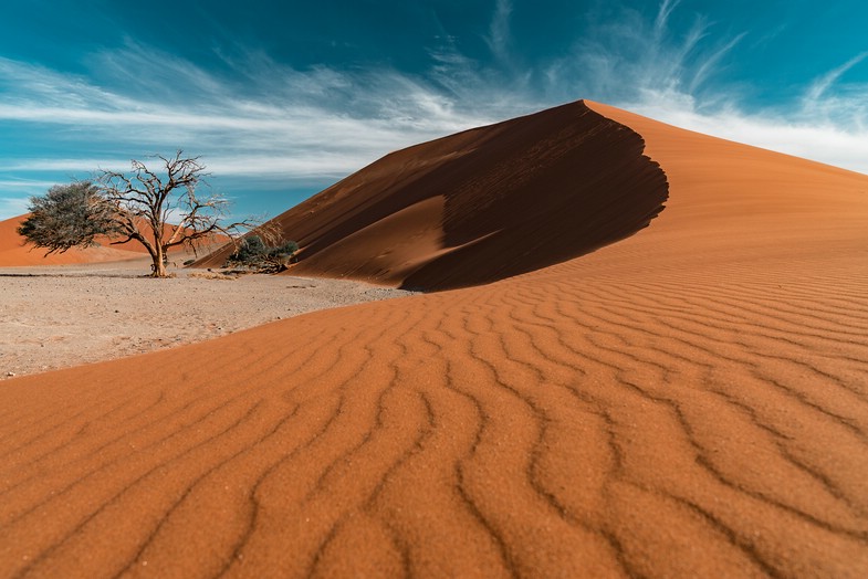 Der #alphaddicted Koffer bleibt in Afrika
