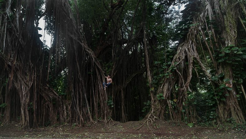 k_Alphaddicted_Hawaii_von Sony_6 Der #alphaddicted Koffer reist nach Hawaii