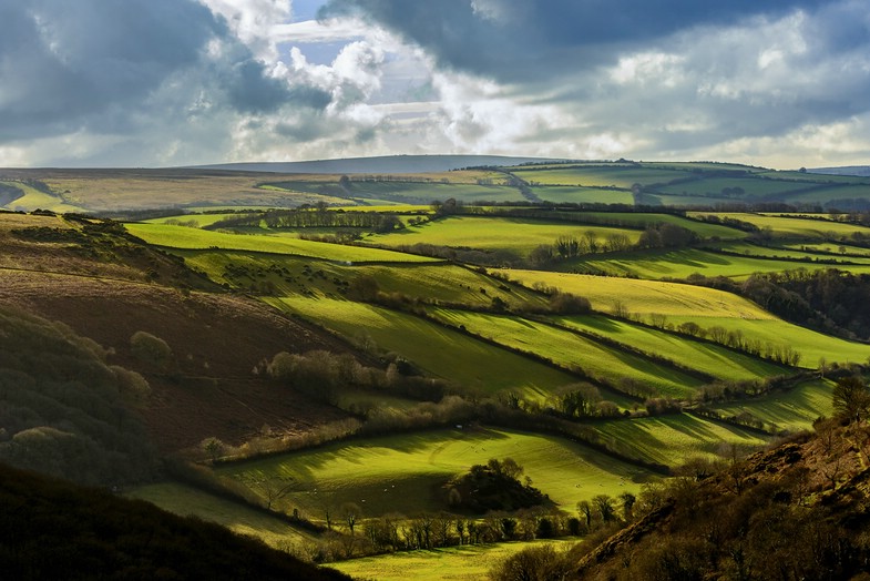 Mit #alphaddicted zu den wilden Exmoor-Ponys im Süden Englands