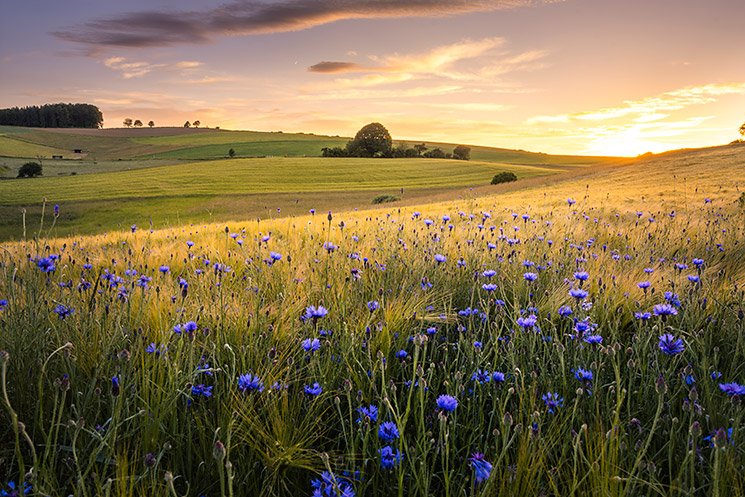 P+A2017: Wetterfotografie. Wettervorhersage für Fotografen mit Bastian Werner