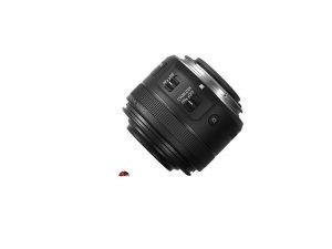 Das neue Canon EF-S 35mm 1:2,8 Macro IS STM