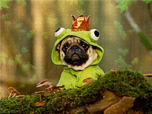 Produkttest: Küss mich... ich bin ein Prinz