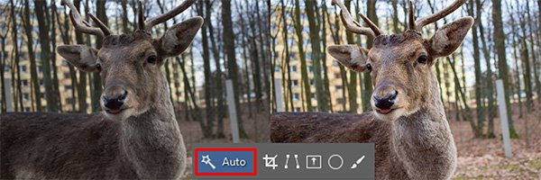 k_Zoner_Auto Zoner Photo Studio X erleichtert die Bildverwaltung und -verarbeitung