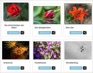 kleines_ganz_gross