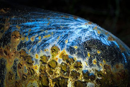 nikon_beauty_of_rust_nikkor_40mm_lens--original Die Schönheit des Rosts