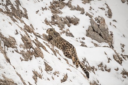 VincentMunier03