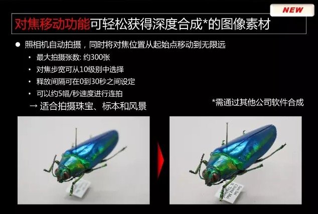 Nikon-D850-camera-presentation-leaked-16