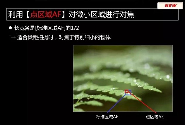 Nikon-D850-camera-presentation-leaked-21