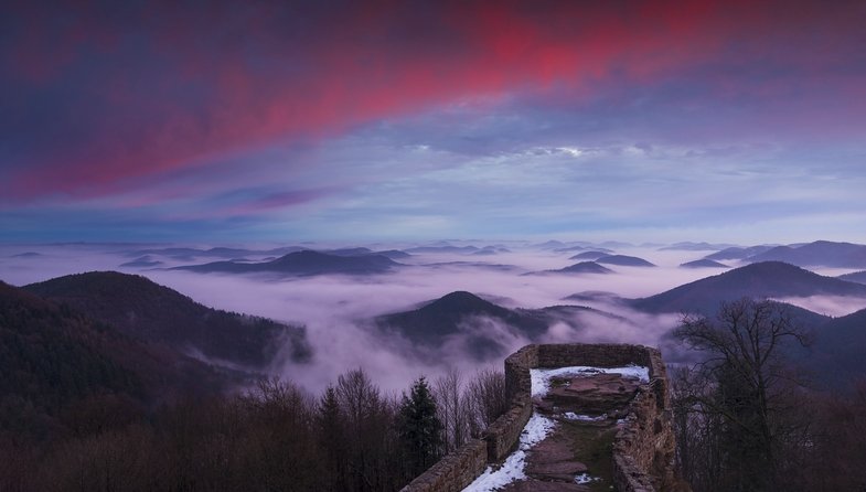 Nebel fotografieren