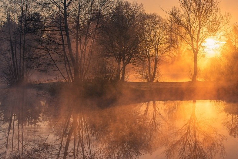 Nebel fotografieren