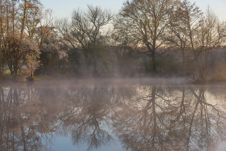 k_3.9 Nebel fotografieren