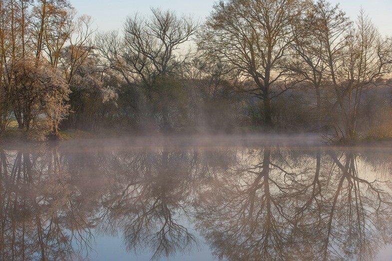 Nebel fotografieren