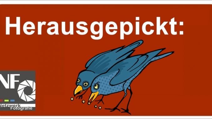 herausgepickt_13_11_2017
