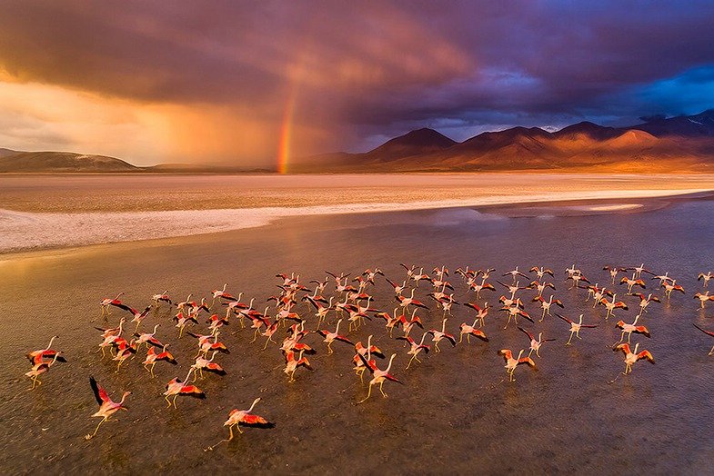 k_eizo-coloredge-referenz-stefan-forster-9f Stefan Forster. Chasing Light