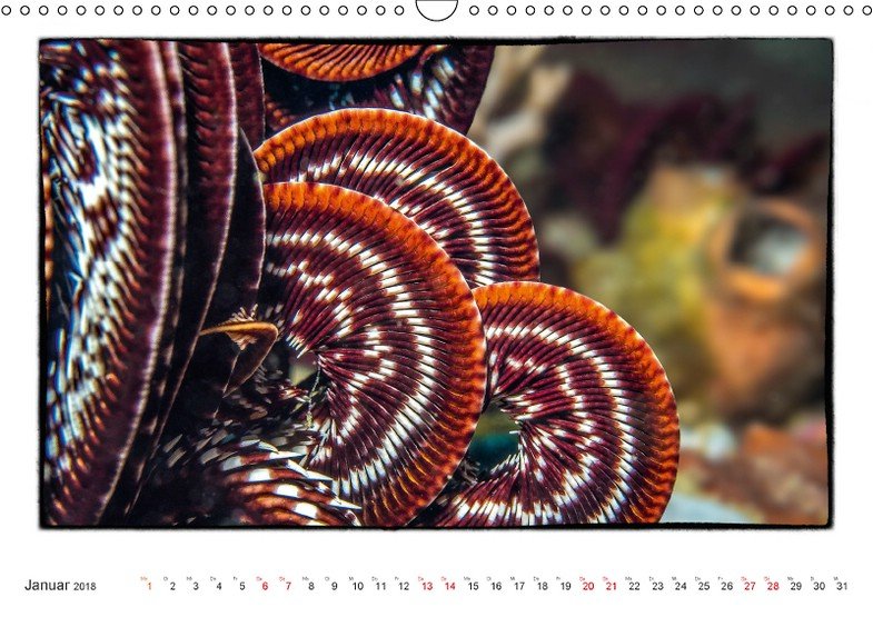 k_978-3-669-40252-1.ANS.1 Geschenkidee: Fotokalender von CALVENDO, Teil 2