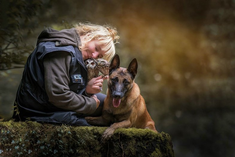 Tanja Brandt. Wenn Hund und Eule Freunde werden