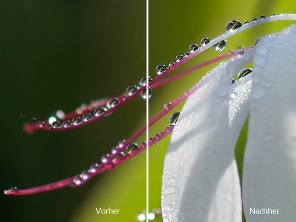 SHARPEN projects 2018 PRO mit Netzwerk Fotografie Rabatt