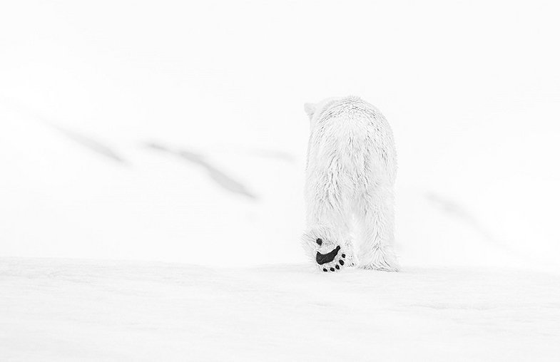 k_NikonAmbassadorDavidYarrow01 UK Fine Art Photographer David Yarrow Announced As Nikon European Ambassador