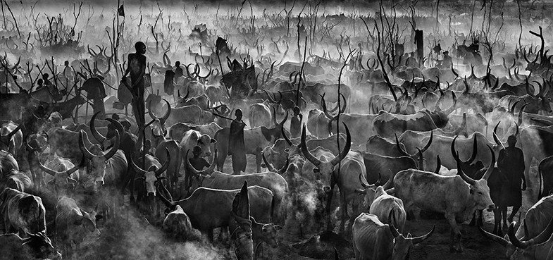 UK Fine Art Photographer David Yarrow Announced As Nikon European Ambassador