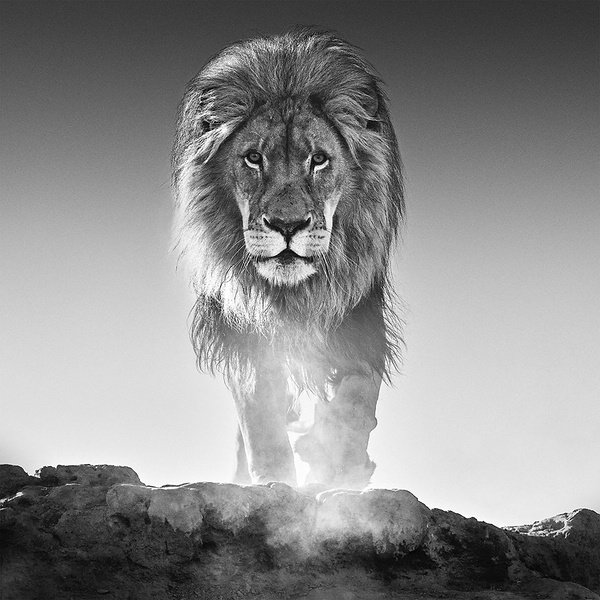 k_NikonAmbassadorDavidYarrow03 UK Fine Art Photographer David Yarrow Announced As Nikon European Ambassador