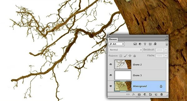 Exakt freistellen mit Photoshop