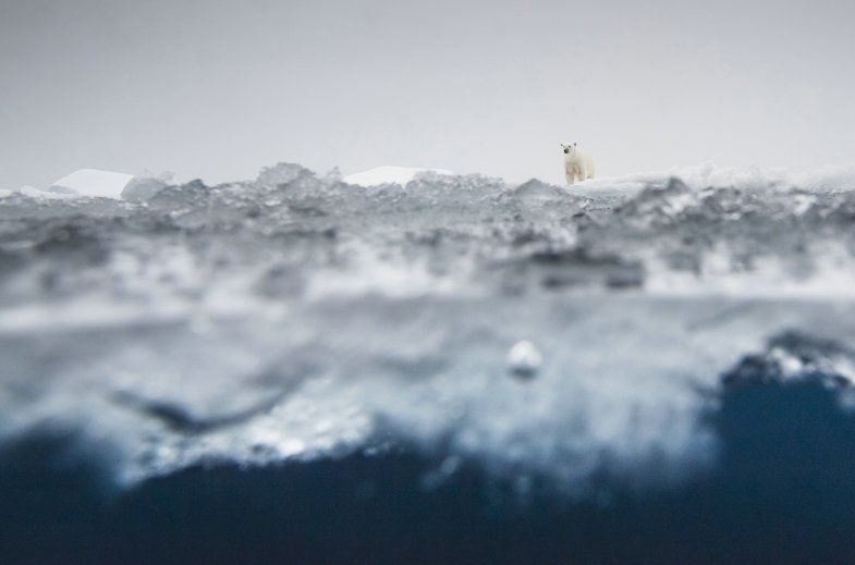 Cristobal Serrano ist Europäischer Naturfotograf des Jahres 2018