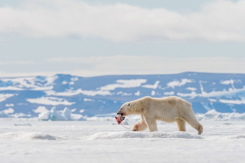 Cristobal Serrano ist Europäischer Naturfotograf des Jahres 2018