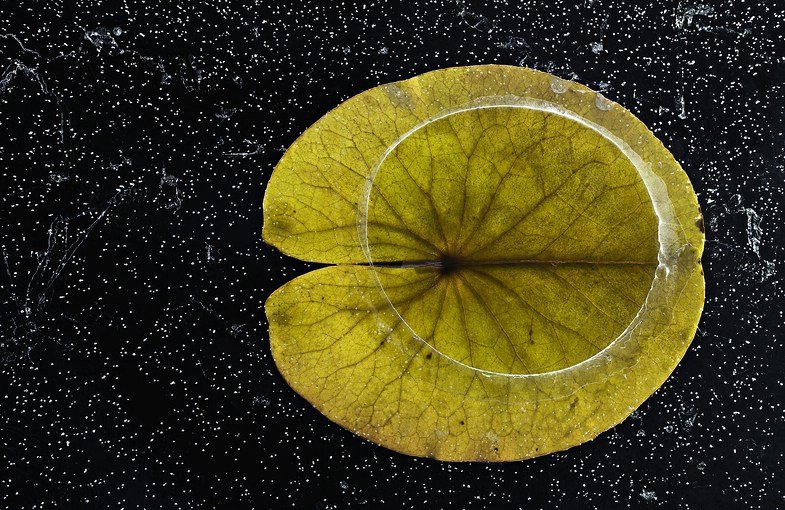 Cristobal Serrano ist Europäischer Naturfotograf des Jahres 2018