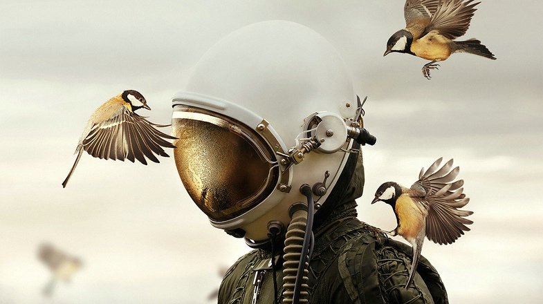 Martin Stranka. Mein Leben mit EIZO