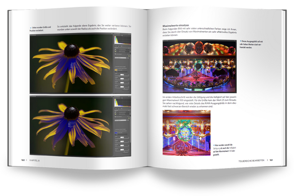 Das Workshop-Buch zu Nikon Capture NX-D