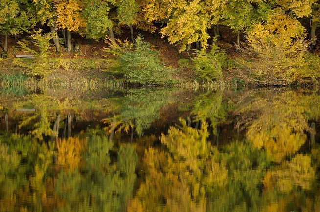 reflektionen_fotowettbewerb_beitragsbild.jpg