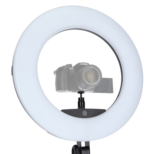 Neue LED-Dauerlichter von Rollei: Lumen Ringlicht