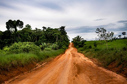 Sebastián Liste: Fotoserie zur Rodung am Amazonas