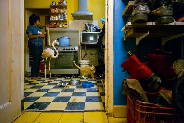 Ausstellung: Sony World Photography Awards in Berlin