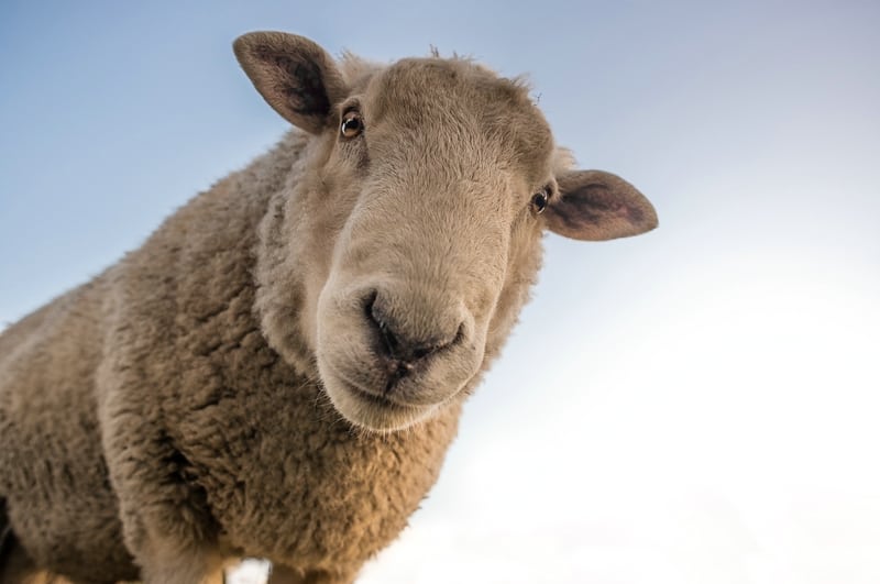Fotowettbewerb der Photo+Adventure 2020