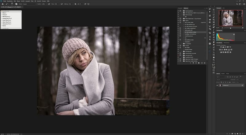 Die Nik Collection 2.3 by DxO und Adobe Photoshop
