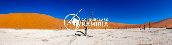 Grafik EIZO Colourclass Namibia