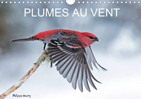 Im Interview: Kalenderautor Philippe Henry