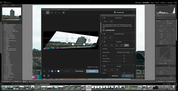 Screenshot Anwendung Perspective Efex der Nik Collection 3 by DxO